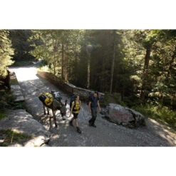 Afritsbroek Voor Bergtrekking Dames MT 500 2-in-1 -Aanbiedingen Trend Doek Winkel afritsbroek voor bergtrekking dames mt 500 2 in 1 10