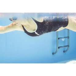 Badpak Met Pijpjes En Rits Voor Zwemmen Dames Heva Zwart 37 Badpak Met Pijpjes En Rits Voor Zwemmen Dames Heva Zwart -Aanbiedingen Trend Doek Winkel badpak met pijpjes en rits voor zwemmen dames heva zwart 15