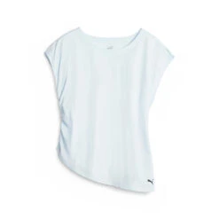 Damestrui Puma Studio Foundation